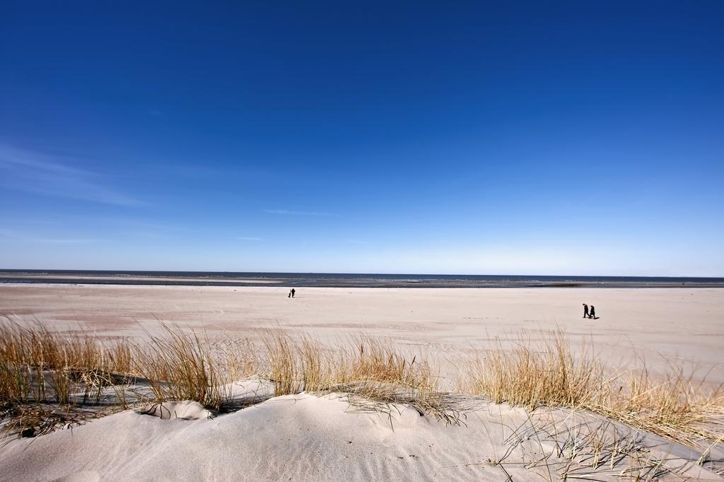 Lise'S Place Vrouwenpolder Eksteriør bilde